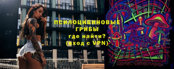 mix Ельня