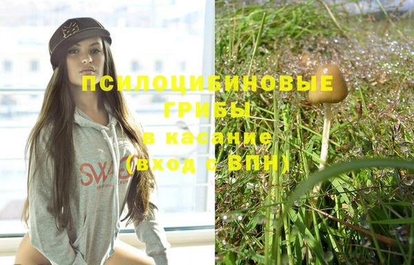 mix Ельня