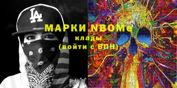 СК Елизово