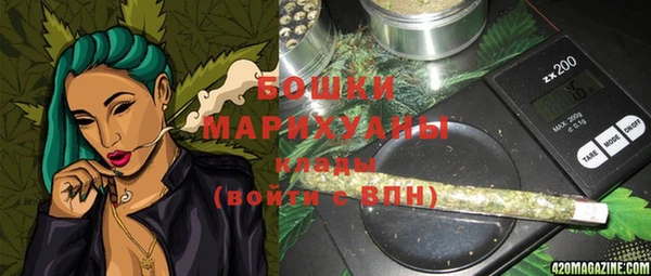 гашик Шали