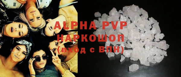 СК Елизово