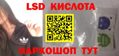 стаф Кимры