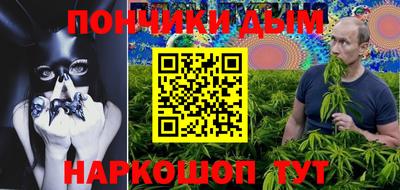 стаф Кимры