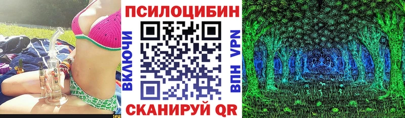 Галлюциногенные грибы Psilocybine cubensis Сальск