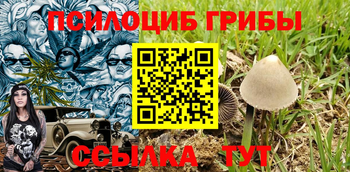 Галлюциногенные грибы Psilocybine cubensis  Псилоцибиновые грибы ЛСД  Вход с VPN  Сальск 