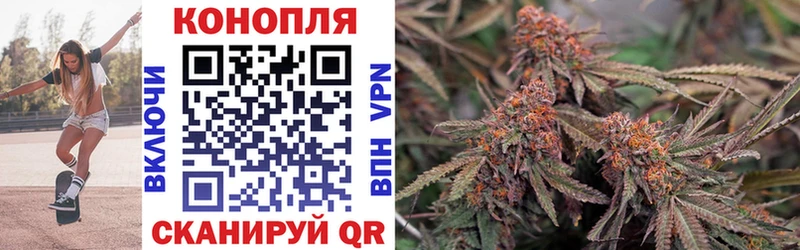 купить   Сальск  Бошки Шишки VHQ 